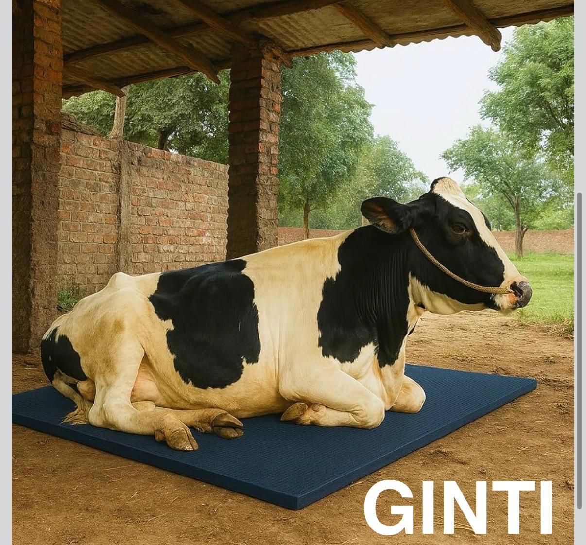 ginti Premium Rubber Bedding for Dairy Animals(Black) Cat, Cow, Dog, Guinea Pig, Hamster, Miniature Pig, Rabbit, Tortoise Pet Mat-picture-19