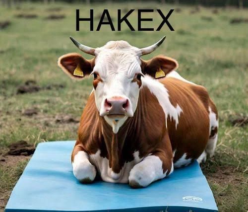 hakex COW MAT-Waterproof Rubber-Blue8 (Mat 8*5 Feet) BPA Free For Horse- Cow, Dog, Hamster, Guinea Pig, Miniature Pig Pet Mat-picture-39