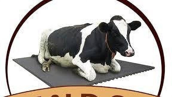 ursus Animal Feeding Waterproof Rubber mat 8×5 feet for Horse, Cow, Buffalo and Bull Cow, Dog, Hamster, Guinea Pig, Miniature Pig Pet Mat-picture-27