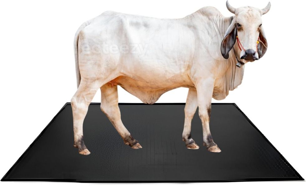COW MAT HEAVY QUALITY FOR Cow, Cat, Dog, Guinea Pig Pet Mat-image-48