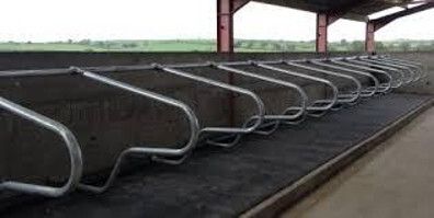 Cow Mat Waterproof Rubber mat 8×5 feet BPA Free for Horse 24 mm Cow, Dog, Hamster, Guinea Pig, Miniature Pig Pet Mat-image-35