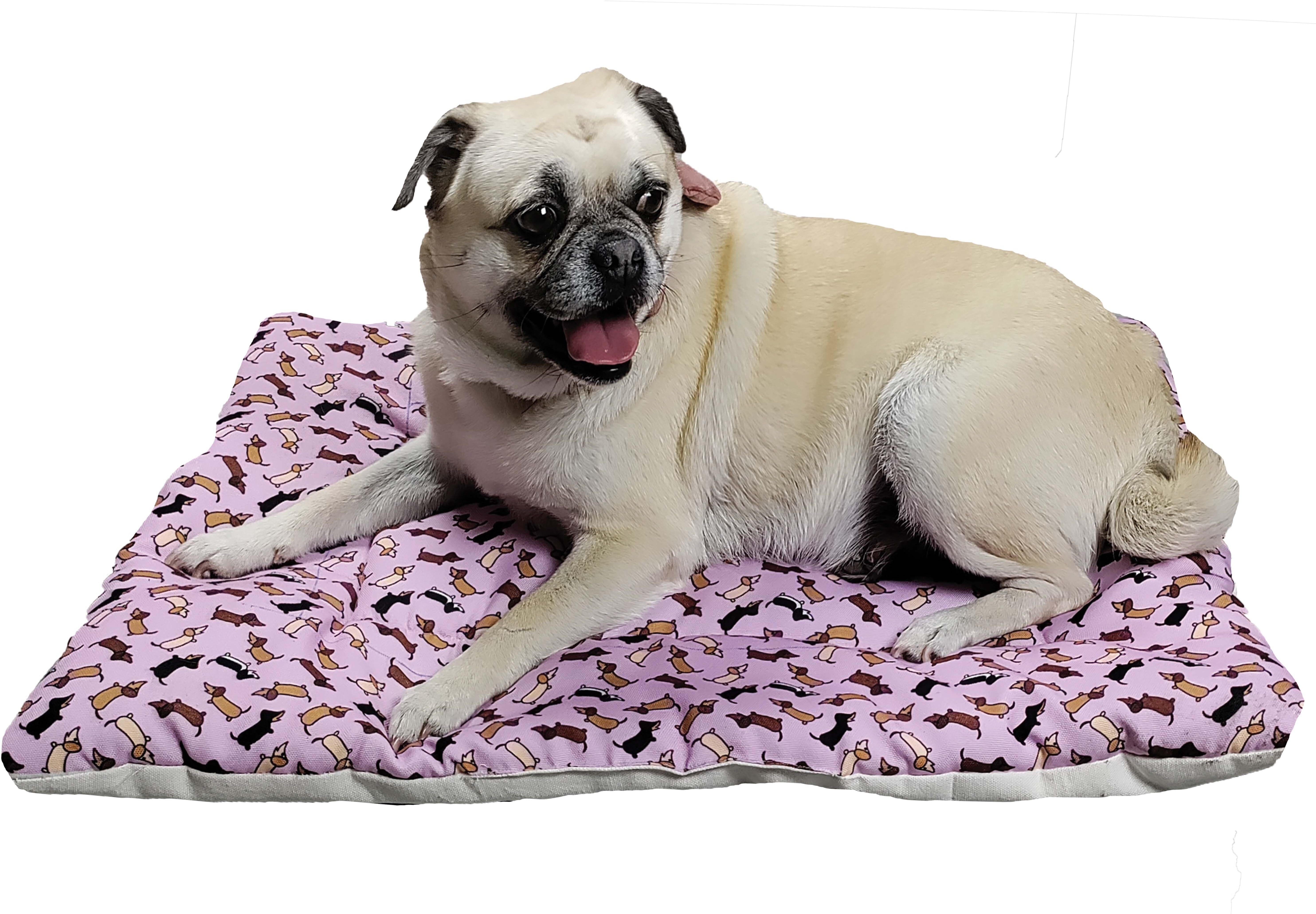 20039 Dog, Cat, Rabbit Pet Mat-image-28