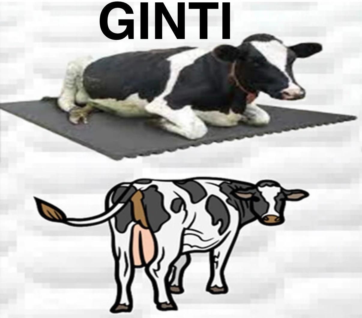 ginti Easy Clean Cow Shed Rubber Mat Cat, Cow, Dog, Guinea Pig, Hamster, Miniature Pig, Rabbit, Tortoise Pet Mat-picture-42