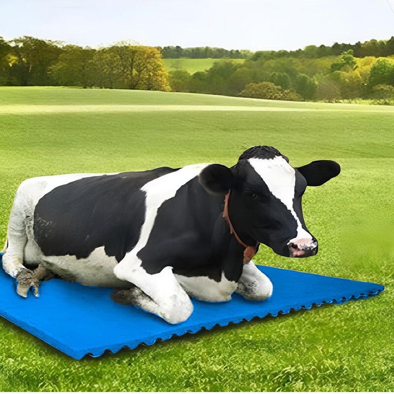 Cow Mat Waterproof Rubber Mat(8*5 Feet) BPA Free For Horse, Cow, Dog, Hamster, Guinea Pig, Miniature Pig Pet Mat-image-14