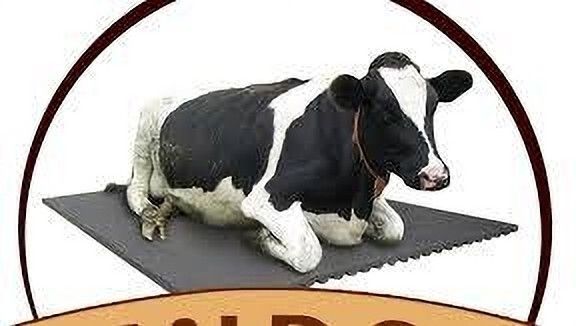Animal Feeding Waterproof Rubber mat 8×5 feet for Horse, Cow, Buffalo and Bull Cow, Dog, Hamster, Guinea Pig, Miniature Pig Pet Mat-image-31