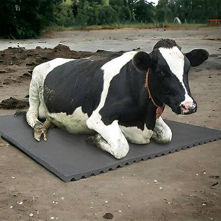 haryana jindal Cow Mat, Feeding Mat, BPA Free, Easy Clean, Dishwasher Safe Cow, Dog, Guinea Pig, Hamster, Miniature Pig Pet Mat-picture-14