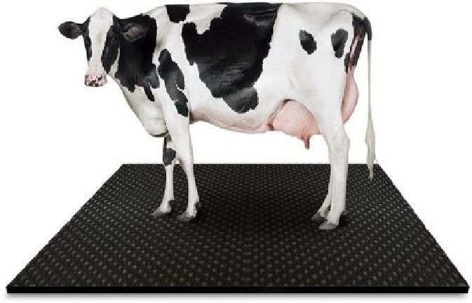 Cow Mat, Mat for Cow, Buffalo, Bull,Horse, Rubber Mat for All Animal( black) Cow, Dog, Hamster, Guinea Pig, Miniature Pig Pet Mat
