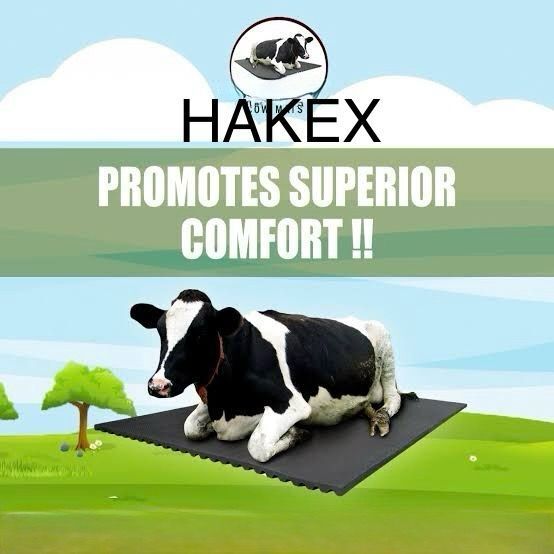 hakex A23Black Cow Mat For all animals, BPA Free, Easy Clean And Waterproof Size 8*5 | Cow, Hamster Pet Mat-picture-43