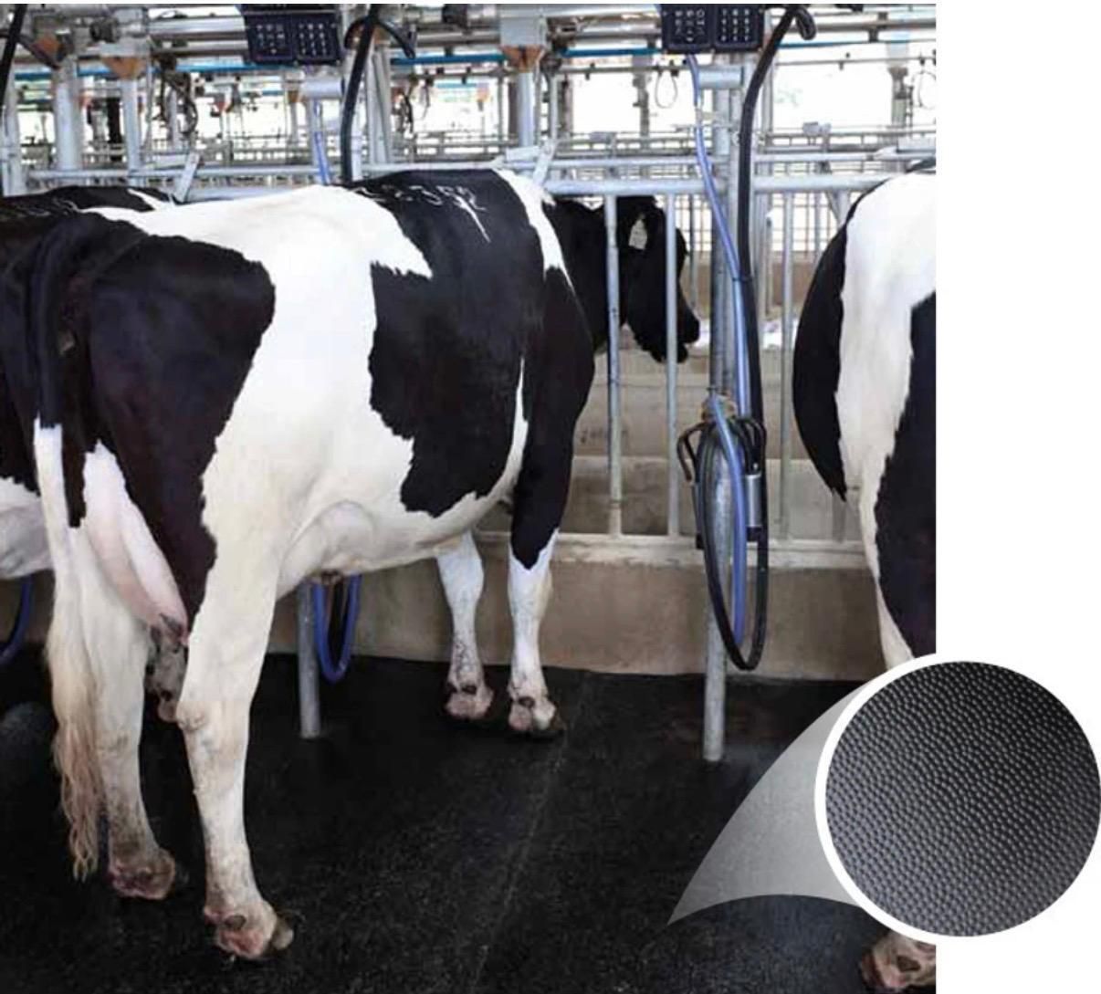 Dairy Comfort Flooring Mat Waterproof and Easy to Maintain Cat, Cow, Dog, Guinea Pig, Hamster, Miniature Pig, Rabbit, Tortoise Pet Mat-image-25