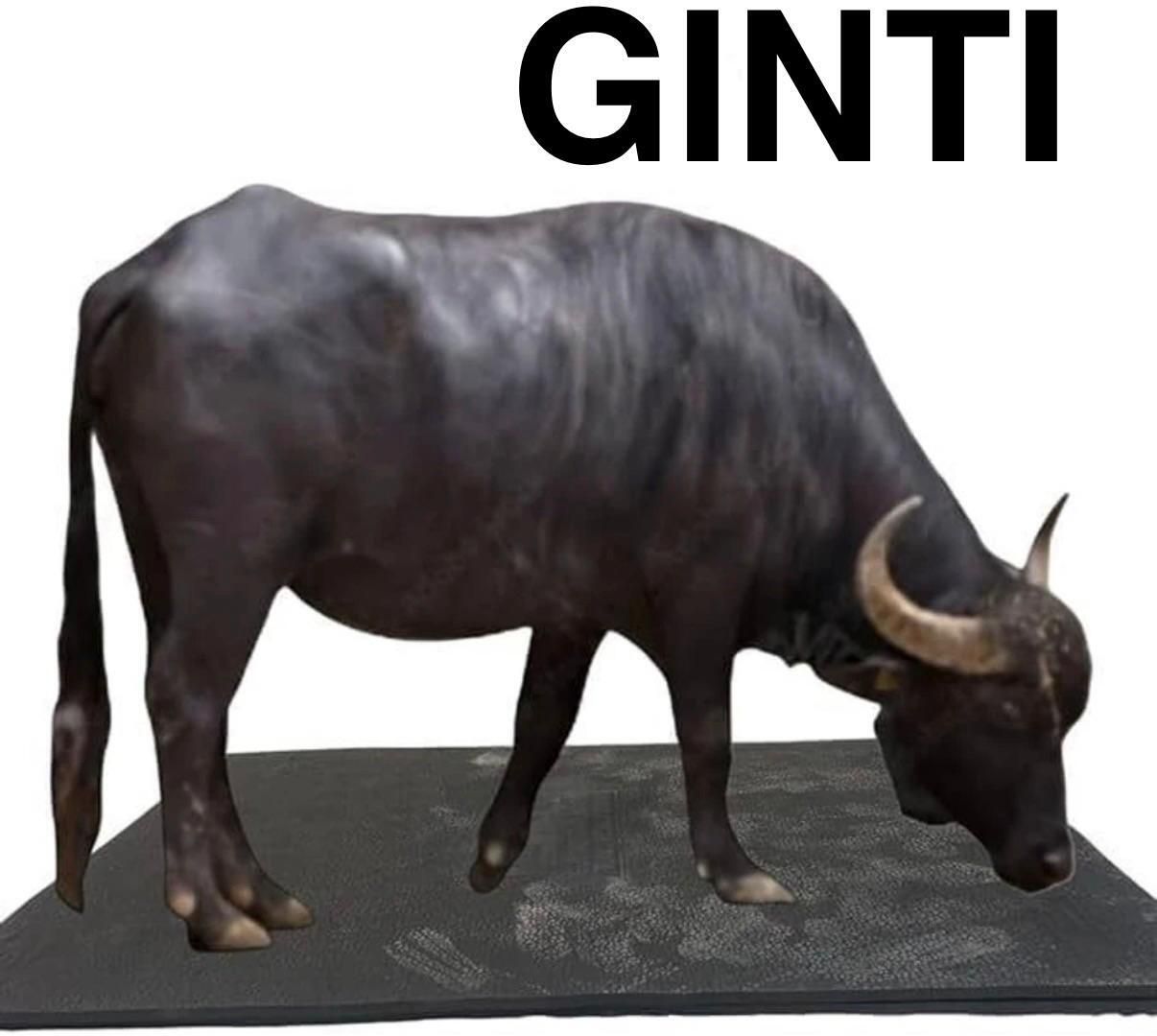 ginti Livestock Resting Rubber Mat Cat, Cow, Dog, Guinea Pig, Hamster, Miniature Pig, Rabbit, Tortoise Pet Mat-picture-46