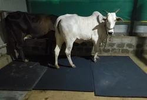 hakex Cow Mat Waterproof Rubber Mat(8*5 Feet) BPA Free For Horse | Cow, Dog, Hamster, Guinea Pig, Miniature Pig Pet Mat-picture-13