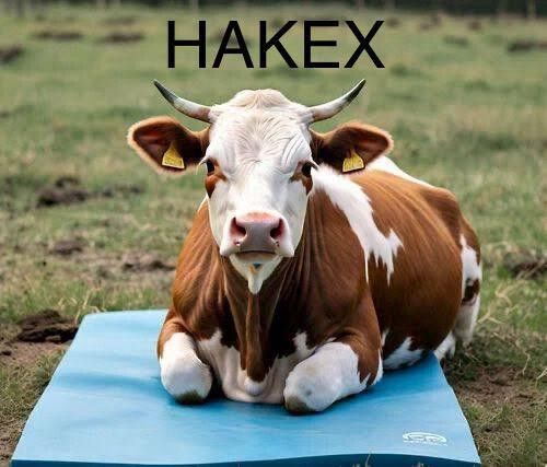 hakex COW MAT-Waterproof Rubber-Blue8 (Mat 8*5 Feet) BPA Free For Horse- | Cow, Dog, Hamster, Guinea Pig, Miniature Pig Pet Mat-picture-27