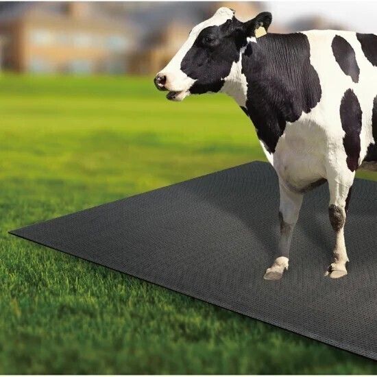 haryana jindal Animal Feeding Waterproof Rubber mat Cow, Dog, Hamster, Guinea Pig, Miniature Pig Pet Mat-picture-10