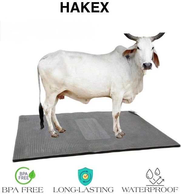 hakex COW MAT-Waterproof Rubber (Mat 8*5 Feet) BPA Free For Horse- | Cow, Dog, Hamster, Guinea Pig, Miniature Pig Pet Mat-picture-15