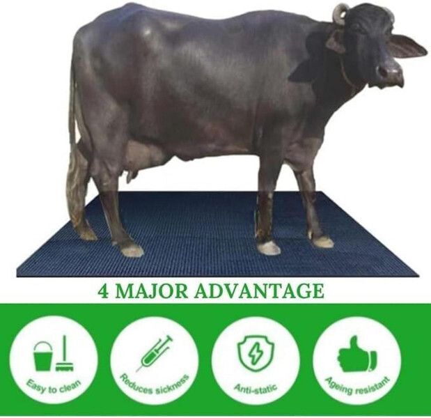 dogifys COW MAT-Waterproof Rubber(Mat 8*5 Feet)BPA Free For Horse-AI Cow, Dog, Hamster, Guinea Pig, Miniature Pig Pet Mat-picture-42
