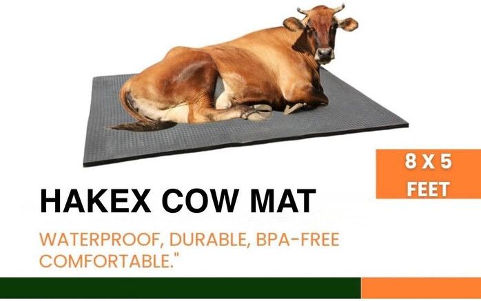 hakex COW MAT Waterproof (Rubber Mat 8*5 Feet BPA Free) For Horse, Cow, Dog, Hamster, Guinea Pig, Miniature Pig Pet Mat-picture-33