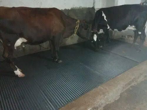 krylon Mat for Cow, Buffalo, Bull,Horse, Rubber Mat for All Animal ( black)(8*5) Cow, Dog, Hamster, Guinea Pig, Miniature Pig Pet Mat-picture-31