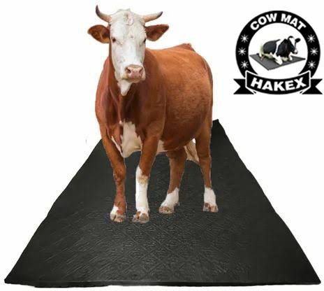 hakex Cow Mat For all pet animals, BPA Free, Easy Clean And Waterproof Cow, Hamster Pet Mat-picture-42
