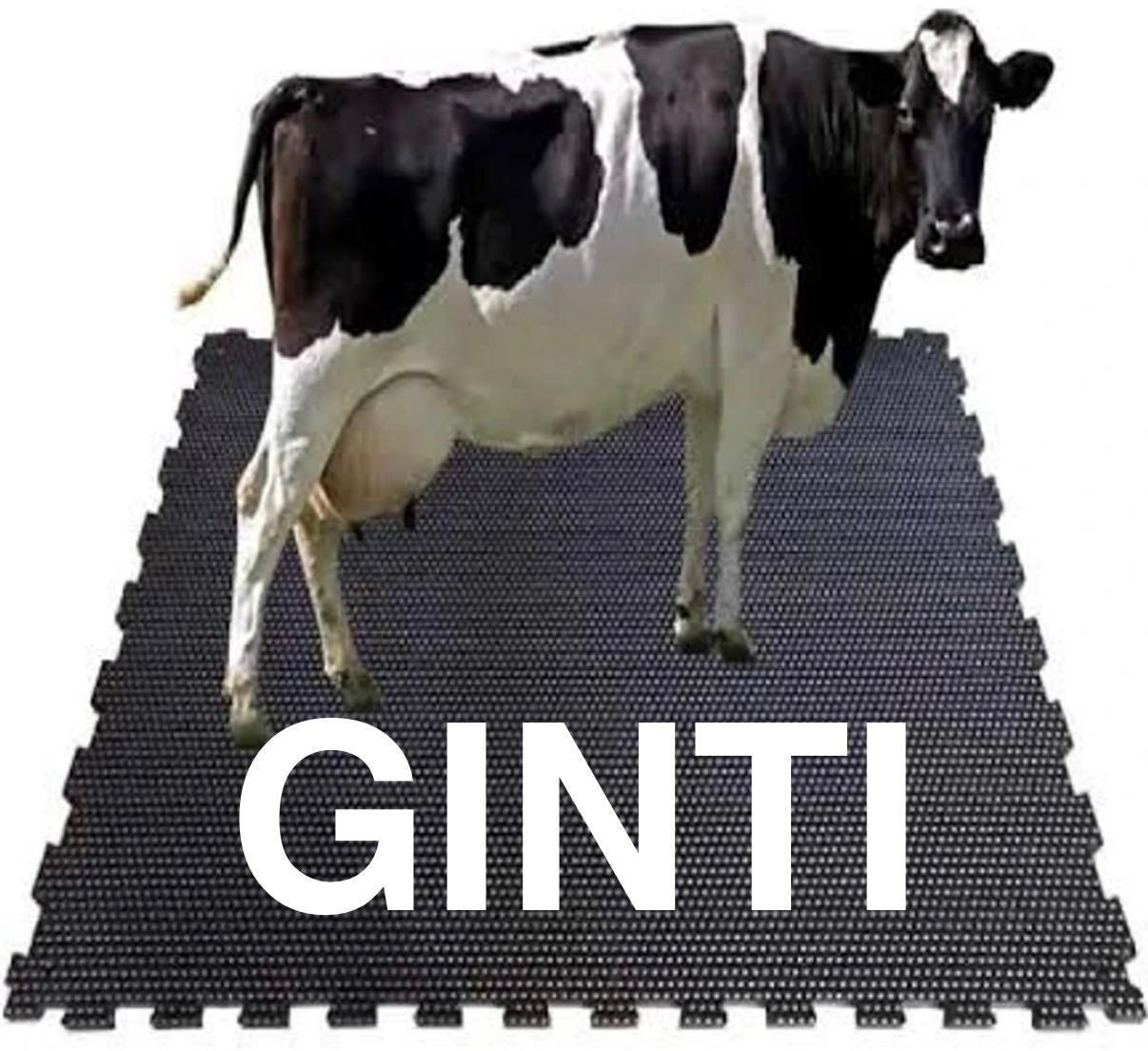 ginti Dairy Rest Mat with Waterproof Rubber Surface Cat, Cow, Dog, Guinea Pig, Hamster, Miniature Pig, Rabbit, Tortoise Pet Mat-picture-17