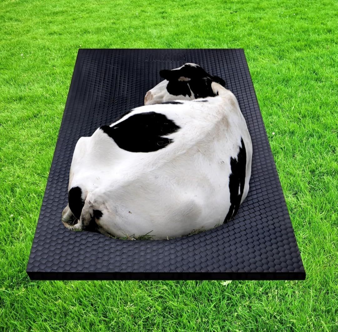 hakex A49Black Cow Mat For all animals, BPA Free, Easy Clean And Waterproof Size 8*5 | Cow, Hamster Pet Mat-picture-15