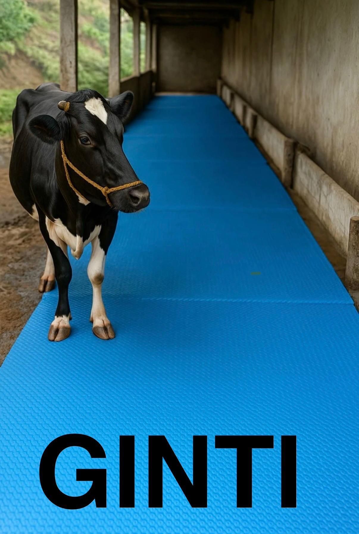Cattle Rest Pro Cow Mat High Strength Rubber Surface(Blue) Cat, Cow, Dog, Guinea Pig, Hamster, Miniature Pig, Rabbit, Tortoise Pet Mat-image-45