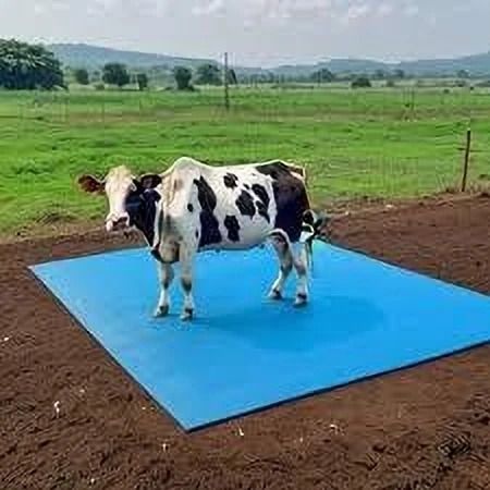 Cow Mat, Mat for Cow, Buffalo, Bull, Rubber Mat for Animal Cow, Dog, Hamster, Guinea Pig, Miniature Pig Pet Mat