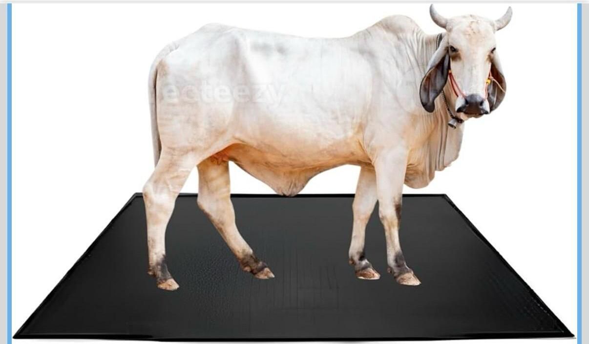 Strong Grip Cow Mat for Dairy Cattle and Buffalo Flooring Cat, Cow, Dog, Guinea Pig, Hamster, Miniature Pig, Rabbit, Tortoise Pet Mat-image-40