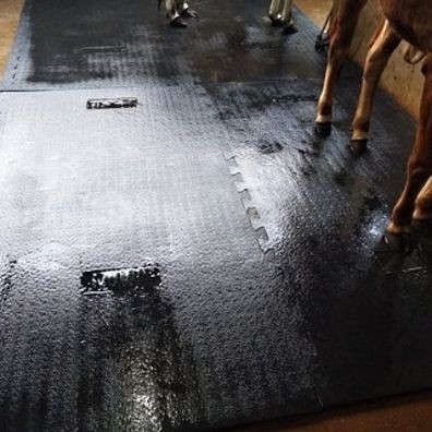 Feeding Mat Waterproof Black Cowmat Easy Clean With Raised Edges Cow, Dog, Hamster, Guinea Pig, Miniature Pig Pet Mat-image-38