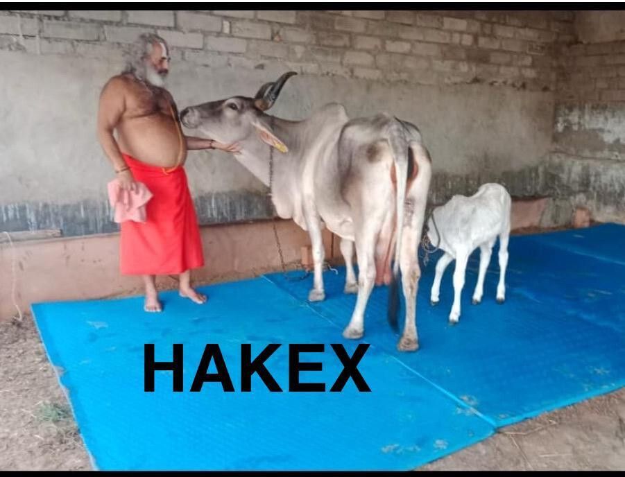 hakex COW MAT-Waterproof Rubber-Blue7 (Mat 8*5 Feet) BPA Free For Horse- | Cow, Dog, Hamster, Guinea Pig, Miniature Pig Pet Mat-picture-33