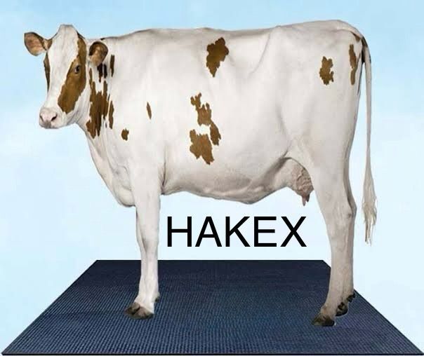 hakex A39Black Cow Mat For all animals, BPA Free, Easy Clean And Waterproof Size 8*5 | Cow, Hamster Pet Mat-picture-14