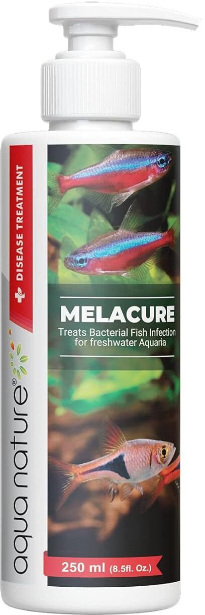 aquanature Internal Anti-fungal Medication Liquid-picture-24
