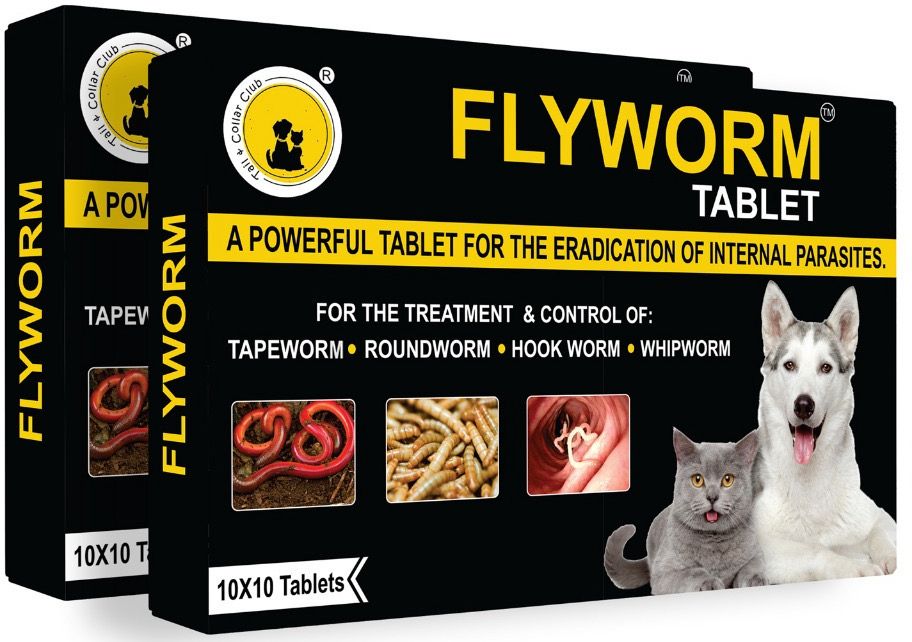 flyworm Dewormer Tablet-picture-28
