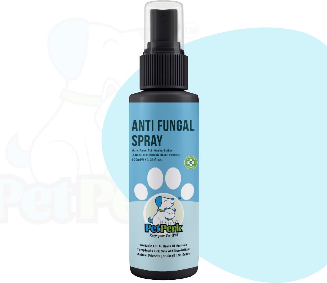 Internal Anti-fungal Medication Spray-image-36