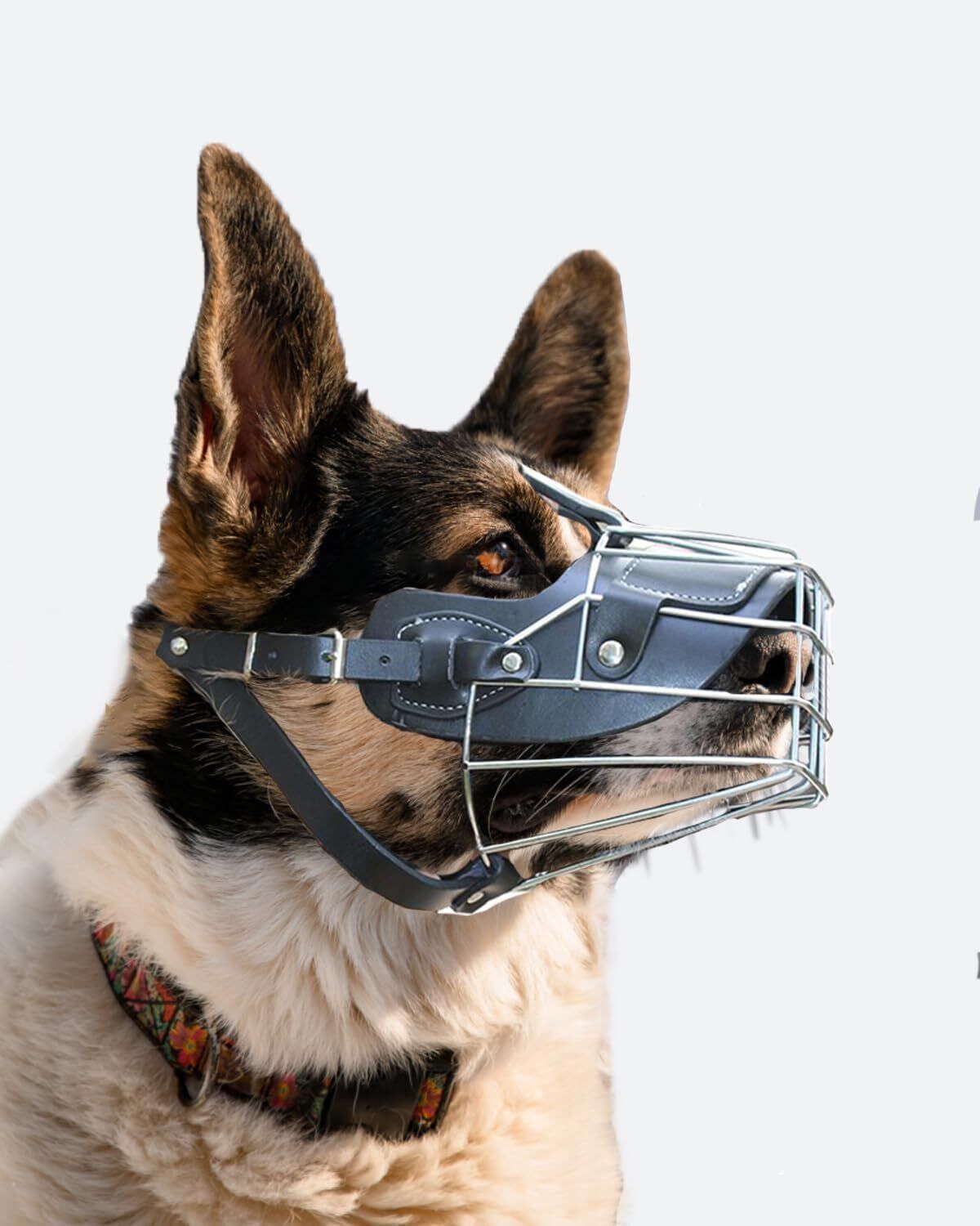 dogpaws Strong Stainless Steel Dog Muzzle Medium Other Dog Muzzle-picture-12