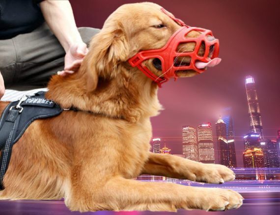 (check size)X-tra large dog rubber Dog Muzzle Cage Mouth cover Extra Large Strips Dog Muzzle-image-43