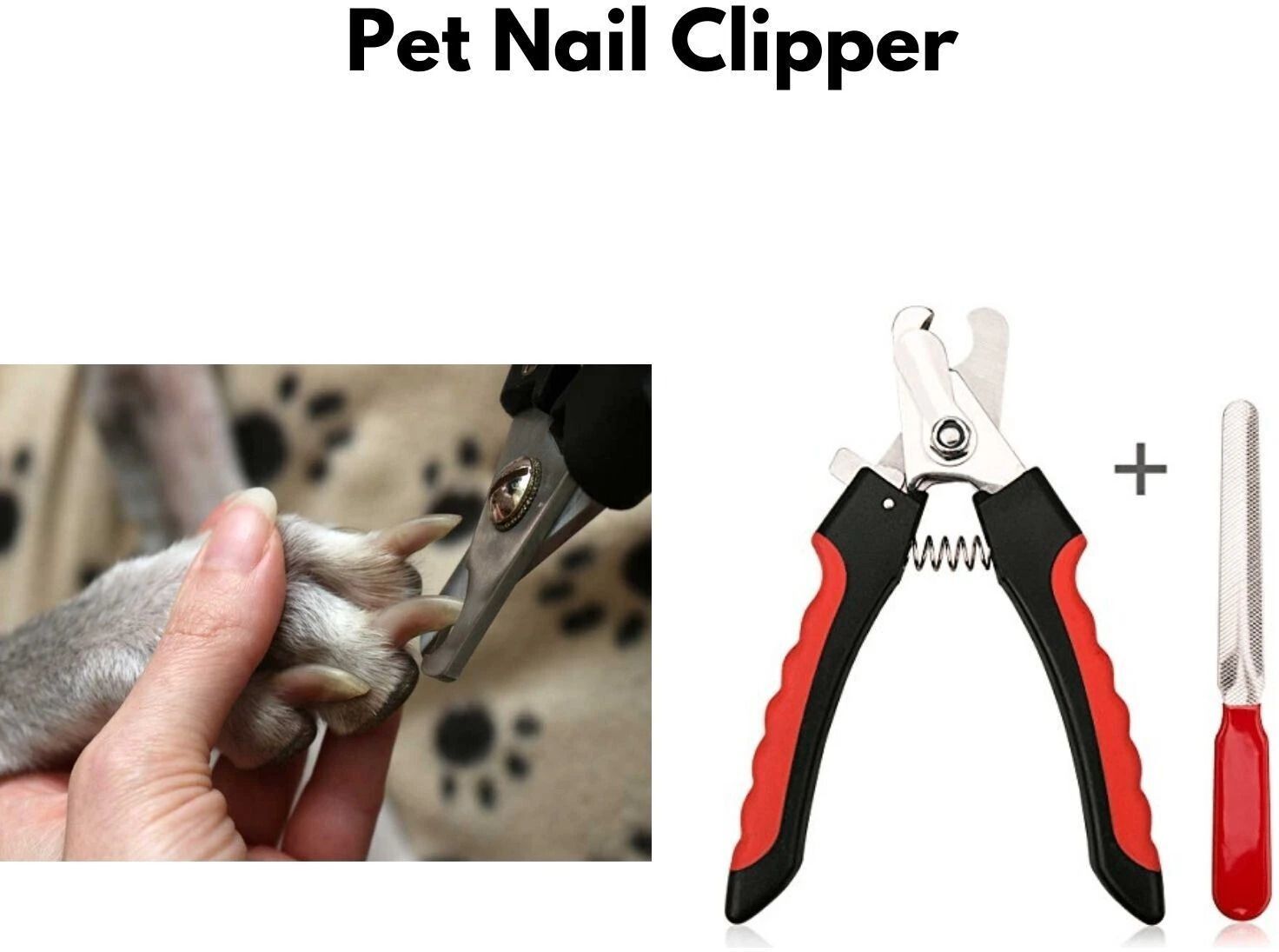 regiis NA Grinder Nail Clipper-picture-1