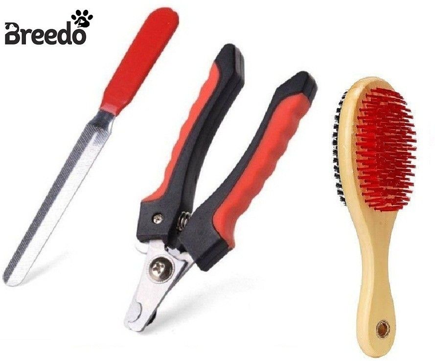 Scissor Nail Clipper-image-9