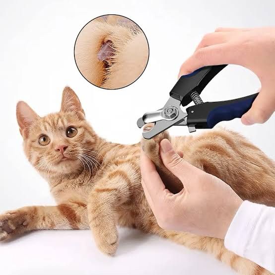 Scissor Nail Clipper-image-30