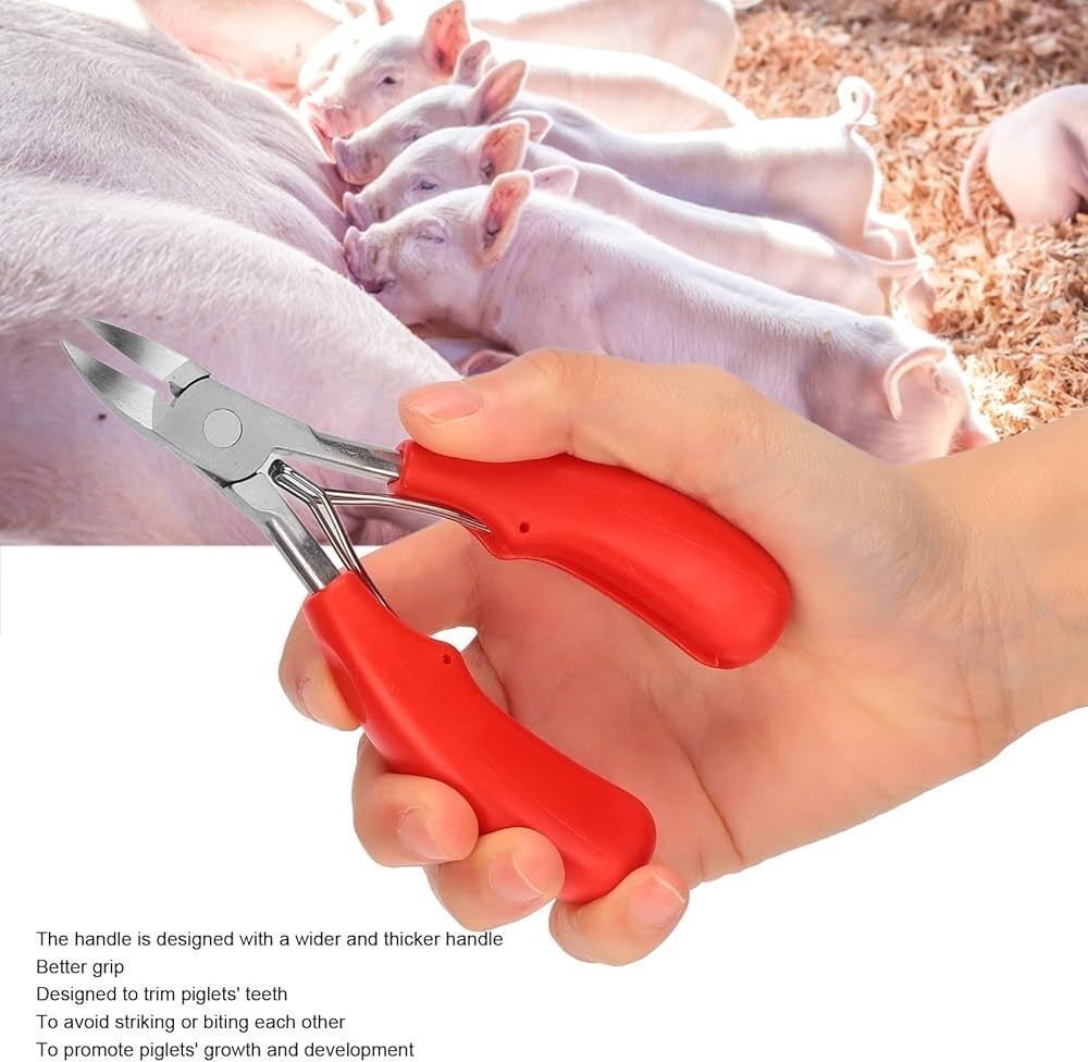 bethlehem Pig teeth cutter, pig tooth clipper Pet Nursing Kit-picture-12