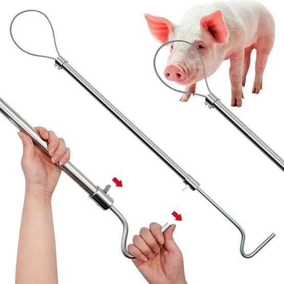 Pig catcher Silver Backpack Pet Carrier-image-20