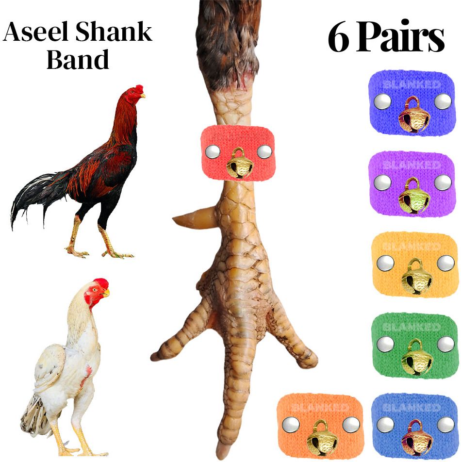 blanked Parrot Beak Aseel Shank Band with Ghungroos (6 Pairs) adds style to your aseels Rubber Rubber Toy For Bird-picture-35