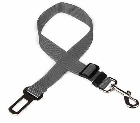 blessingcarpetbelts0230 Pet Seat Belt