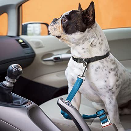 blessing pet product PACK OF 2 PCS DOG CAR SEAT BELTS Pet Seat Belt-picture-18