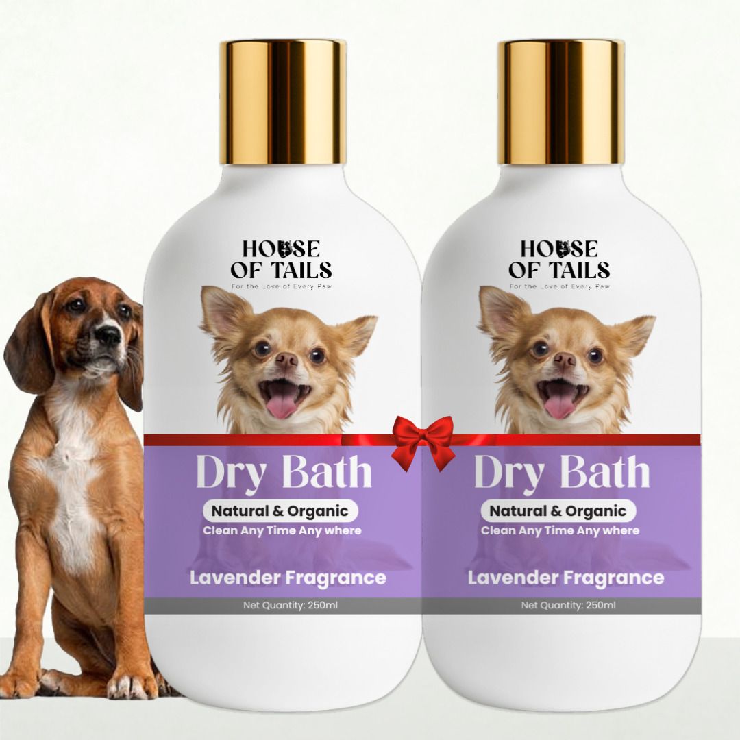 Dry Bath Spray Combo for Dogs & Cats No-Rinse Herbal Grooming (2 Pack) Anti-Bacterial, Anti-parasitic, Anti-Inflammatory, Anti-microbial Lavendar Dog, Dog Shampoo-image-4
