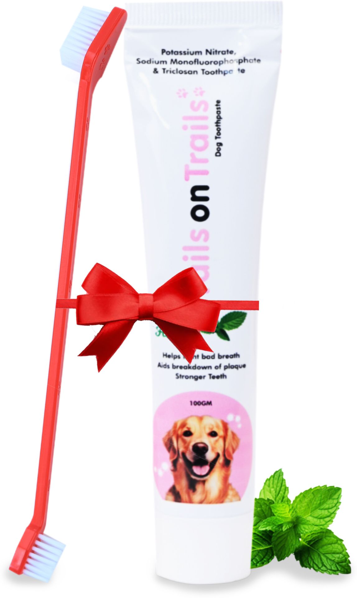 Cool Mint Toothpaste and Toothbrush Combo for Pets Pet Toothpaste-image-26