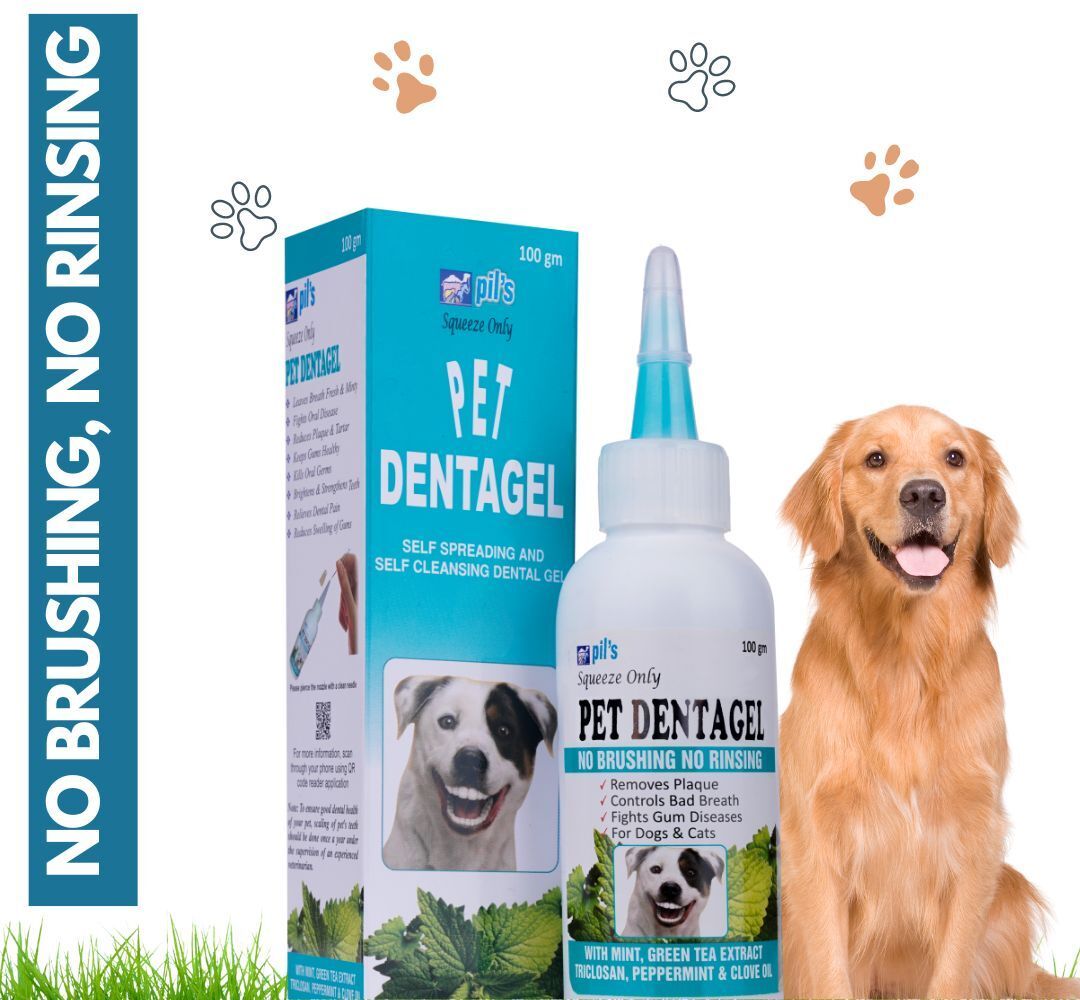 pil Pet Denta gel Counteracts Prevents formation of Tartar & Fights Bad Bacteria Pet Toothpaste-picture-30