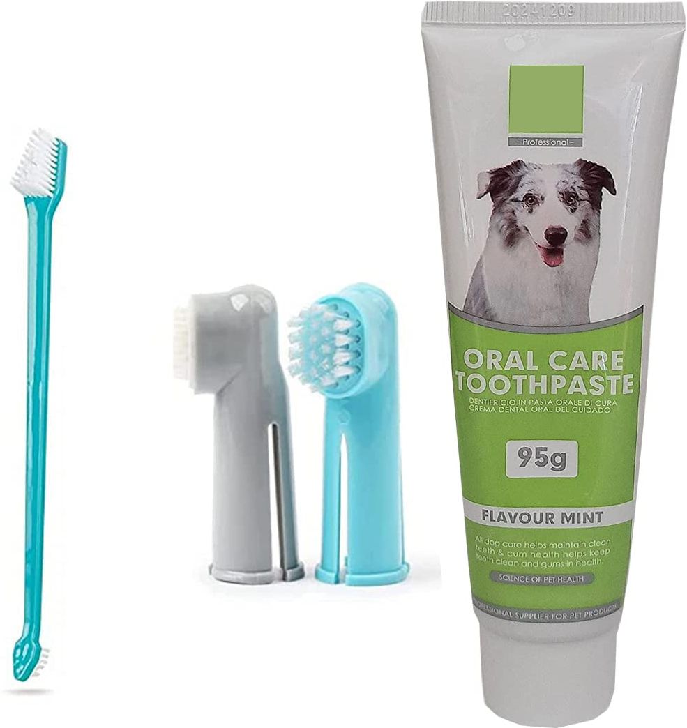 Mint Flavor Dog Toothpaste 95g With Cleaning Dental Toothbrush Pet Toothpaste-image-23