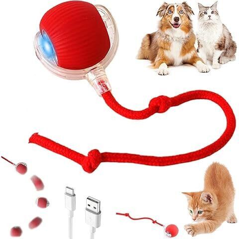 INTERACTIVE CAT playing toys for cats self rolling ball PP (Polypropylene) Chew Toy For Dog & Cat-image-48