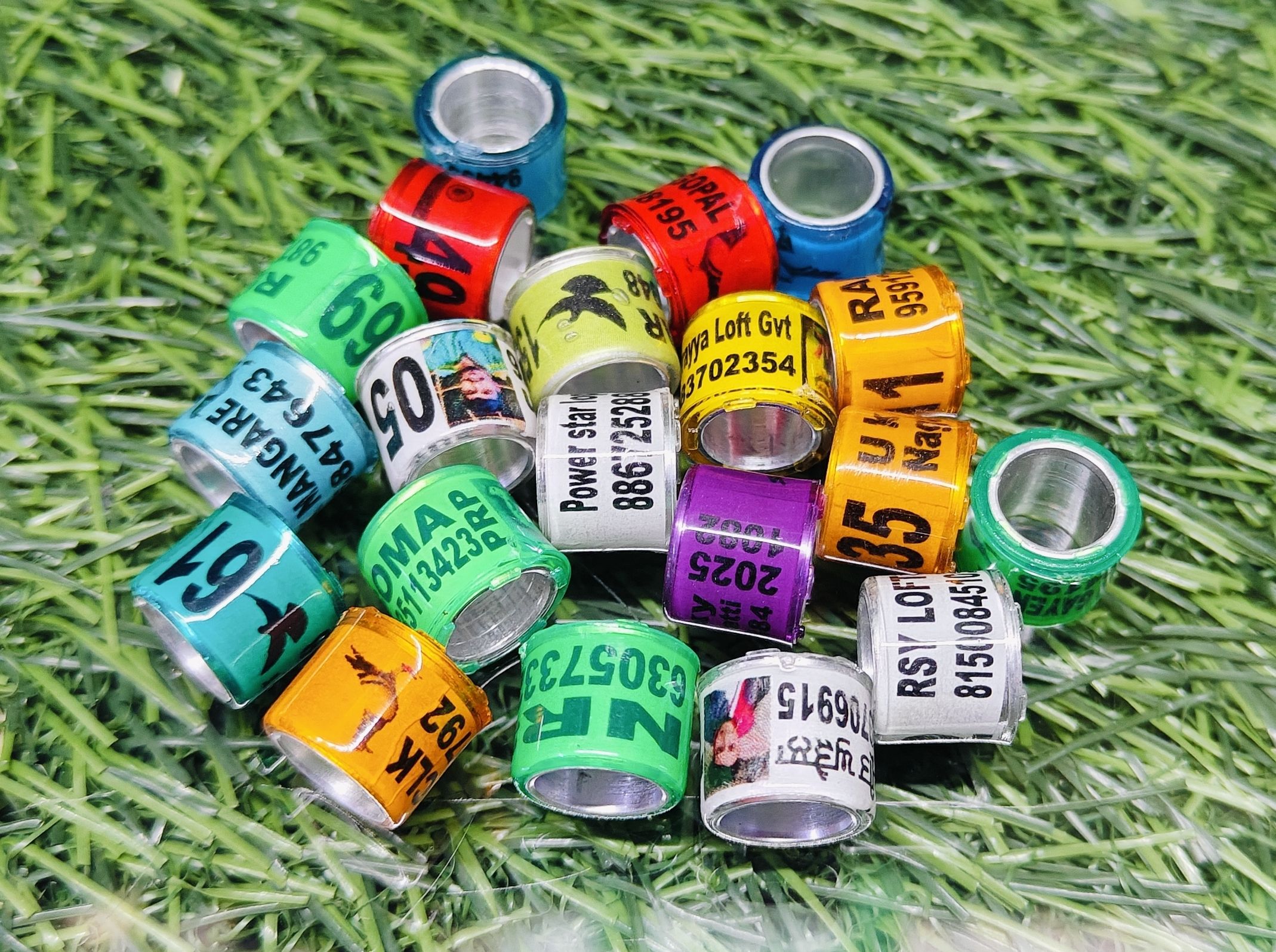 8MM PLASTIC COATED PIGEON FOOT RING Aluminium, Plastic Training Aid For Bird-image-27