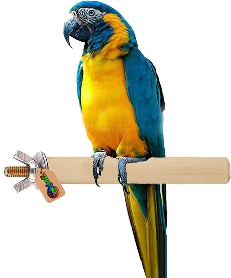dreamauro 8 Inches / 20 cm Natural Habitat Wooden Light Weight Bird Perch/Stand/Toy Wooden Training Aid, Stick, Perch For Bird-picture-47